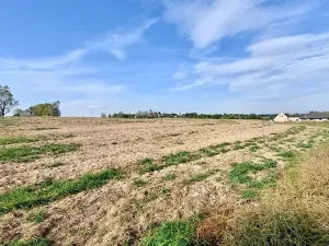 Prodej pozemku pro bydlení, Hrušovany u Brna, Pod Střediskem, 874 m2