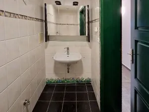 Pronájem rodinného domu, Praha - Břevnov, Na zástřelu, 297 m2