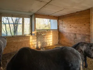 Pronájem pozemku pro bydlení, Markvartovice, 111 m2