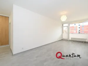 Pronájem bytu 2+kk, Praha, Remízková, 53 m2