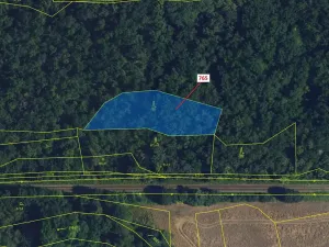 Dražba lesa, Lhota Rapotina, 1793 m2