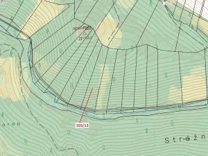 Dražba lesa, Vranová Lhota, 5798 m2