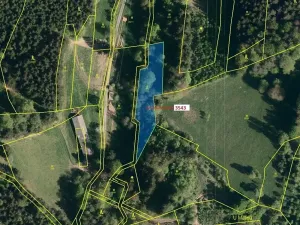 Dražba lesa, Zděchov, 1866 m2