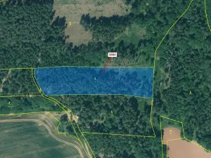 Dražba lesa, Kryry, 7695 m2