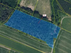 Dražba lesa, Olešnice, 15378 m2