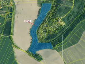 Dražba lesa, Římov, 49760 m2