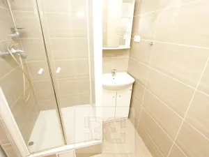 Pronájem bytu 3+kk, Praha - Karlín, U Sluncové, 83 m2