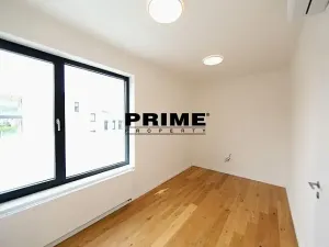 Pronájem rodinného domu, Praha - Řepy, U Lesoparku, 408 m2