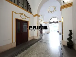 Pronájem bytu 6+kk a větší, Praha - Nové Město, Záhořanského, 265 m2