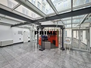 Pronájem kanceláře, Praha - Nové Město, Soukenická, 401 m2