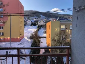 Prodej bytu 3+1, Vrbno pod Pradědem, Myslivecká, 82 m2