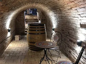 Prodej vinného sklepa, Čejkovice, 66 m2