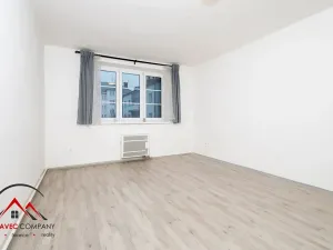 Pronájem bytu 1+1, Ostrava, Newtonova, 41 m2