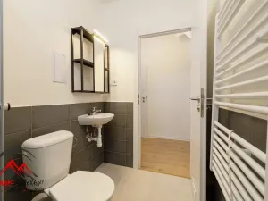 Pronájem bytu 1+kk, Ostrava, Palackého, 29 m2