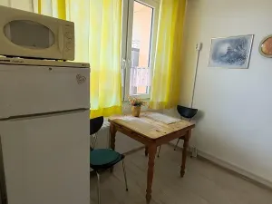 Pronájem bytu 2+1, Teplice, Alejní, 50 m2