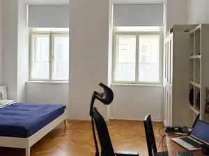 Pronájem bytu 2+kk, Praha - Nové Město, Krakovská, 55 m2