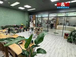 Pronájem obchodního prostoru, Brno - Brno-město, náměstí Svobody, 64 m2