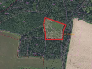 Prodej lesa, Třešovice, 4545 m2