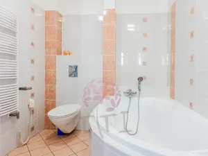 Pronájem bytu 4+kk, Praha - Karlín, Thámova, 120 m2