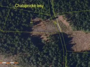Prodej lesa, Česká Bělá, 7690 m2