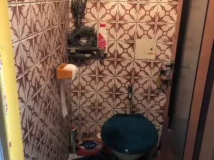 Prodej rodinného domu, Strakonice, Vrchlického, 365 m2