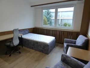 Pronájem bytu 1+kk, Brno, Heršpická, 23 m2