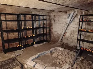 Prodej chalupy, Stříbrnice, 90 m2