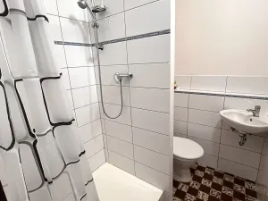 Pronájem bytu 1+kk, Plzeň, Dlouhá, 20 m2