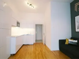 Pronájem bytu 1+kk, Praha - Vinohrady, Záhřebská, 50 m2