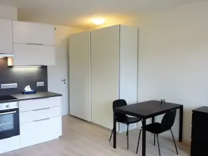 Pronájem bytu 1+kk, Praha - Hodkovičky, Šífařská, 34 m2