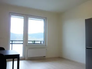 Pronájem bytu 1+kk, Praha - Hodkovičky, Šífařská, 34 m2