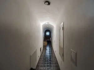 Prodej vícegeneračního domu, Litomyšl, Smetanovo náměstí, 459 m2