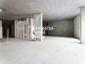 Pronájem restaurace, Praha - Nusle, Lomnického, 470 m2