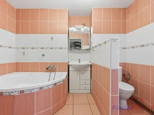 Prodej bytu 3+kk, Březová, Sklářská, 55 m2