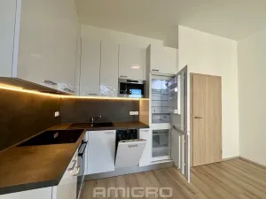 Pronájem bytu 1+kk, Brno, Gajdošova, 33 m2