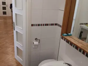 Pronájem bytu 3+kk, Praha - Žižkov, Krásova, 66 m2