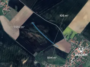 Prodej podílu pole, Medlice, 824 m2