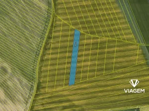 Prodej podílu pole, Olomouc, 1136 m2