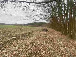 Prodej pozemku, Žinkovy, 4100 m2