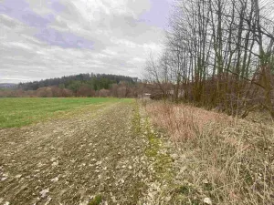 Prodej pozemku, Žinkovy, 4100 m2