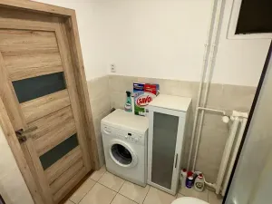 Pronájem bytu 1+kk, Brno, Dřevařská, 40 m2