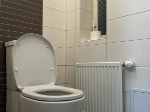 Pronájem bytu 5+1, Praha - Holešovice, Bubenská, 209 m2