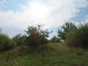 Dražba zahrady, Ploskovice, 23378 m2