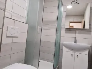 Pronájem bytu 1+1, Prostějov, Tylova, 35 m2