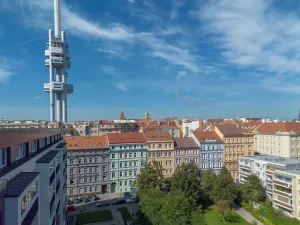 Prodej bytu 2+kk, Praha - Žižkov, Bořivojova, 63 m2