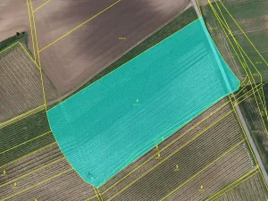 Prodej pole, Čejkovice, 25676 m2