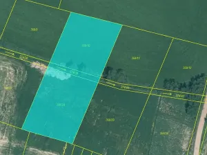 Prodej pole, Branice, 2977 m2