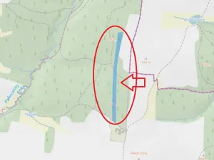 Prodej lesa, Ločenice, 11790 m2