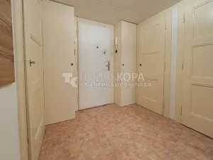 Pronájem bytu 1+1, Praha - Dejvice, Koulova, 40 m2