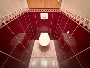 Prodej bytu 1+1, Orlová, Masarykova třída, 40 m2